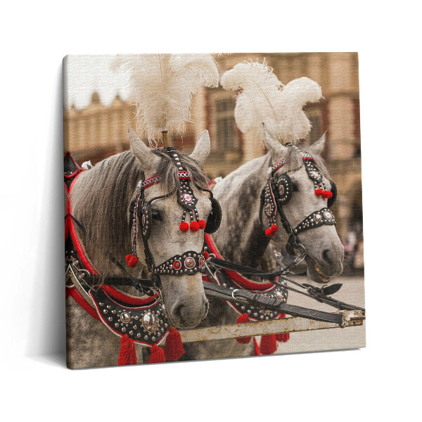 Vászonkép 60x60 Gyönyörű lovak Krakkóban