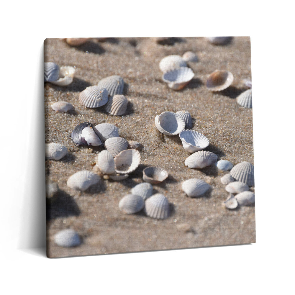 Vászonkép 60x60 Kagylók a tengerparton