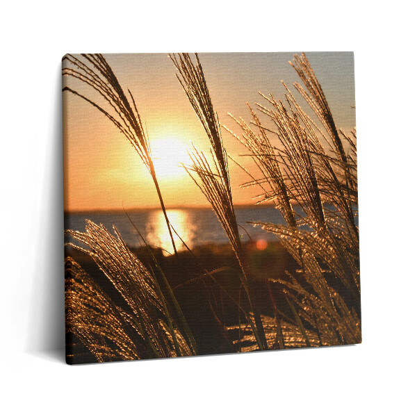 Vászonkép 60x60 Búza az arany órában