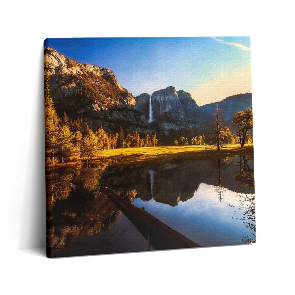 Vászonkép 60x60 Erdő a Yosemite Parkban