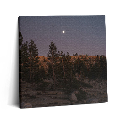 Vászonkép 60x60 Sziklás út Yosemite-ban