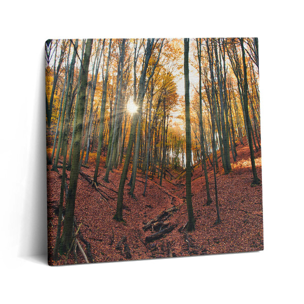 Vászonkép 60x60 Naplemente és fák