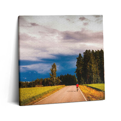 Vászonkép 60x60 Rendezett kerékpárút
