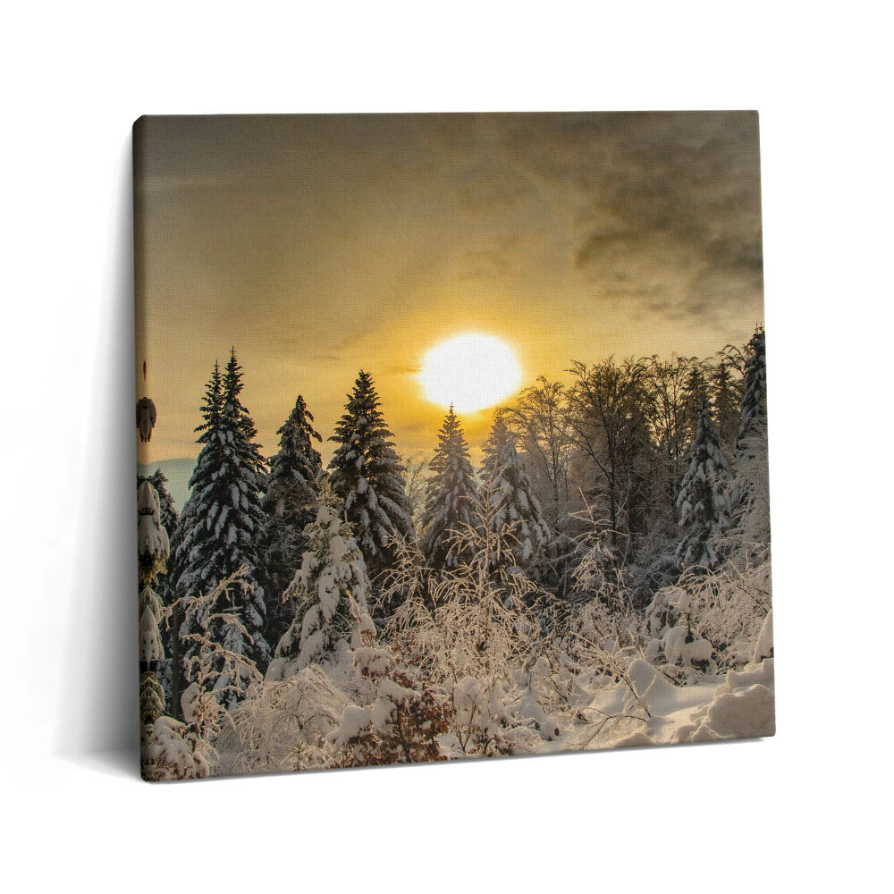 Vászonkép 60x60 Téli táj a Beszkidek hegységben