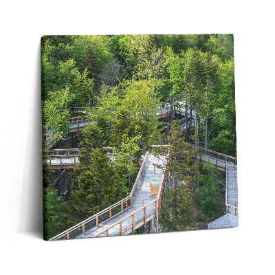 Vászonkép 60x60 Ösvény Krynica Zdrojban