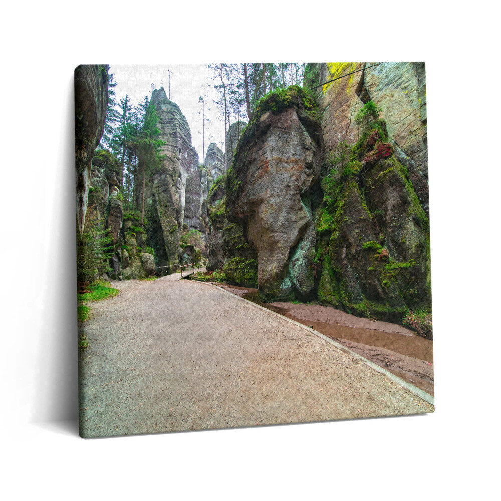 Vászonkép 60x60 Sziklaváros a Cseh Köztársaságban