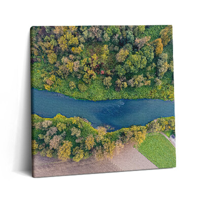 Vászonkép 60x60 Odera folyó a Cseh Köztársaságban