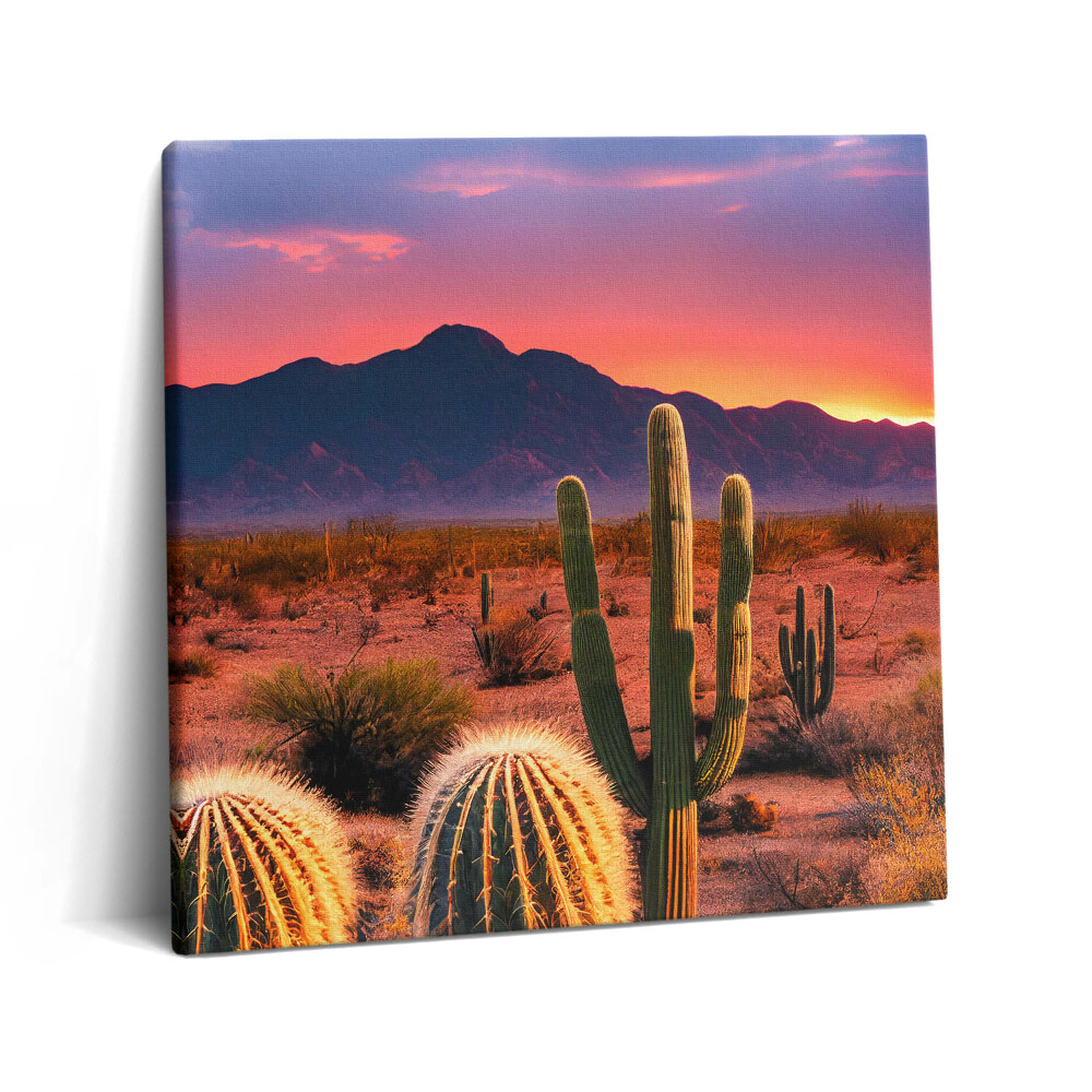 Vászonkép 60x60 Naplemente a sivatagban