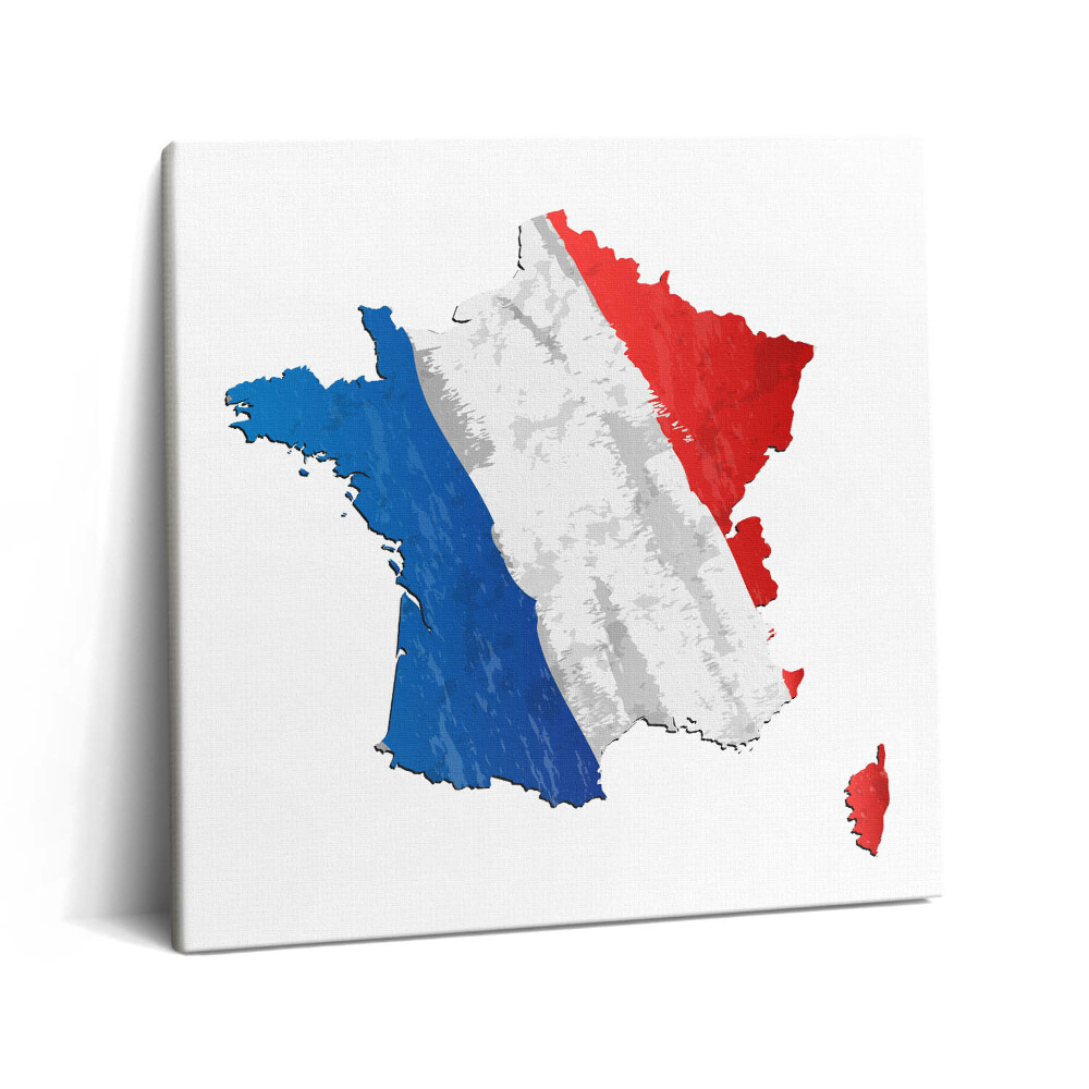 Vászonkép 60x60 Francia zászló