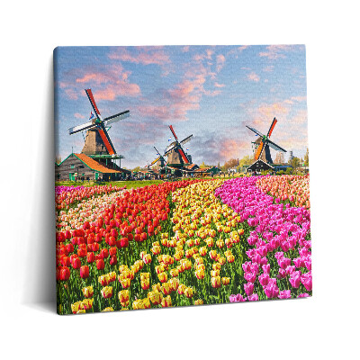 Vászonkép 60x60 Tájkép tulipánokkal Hollandia