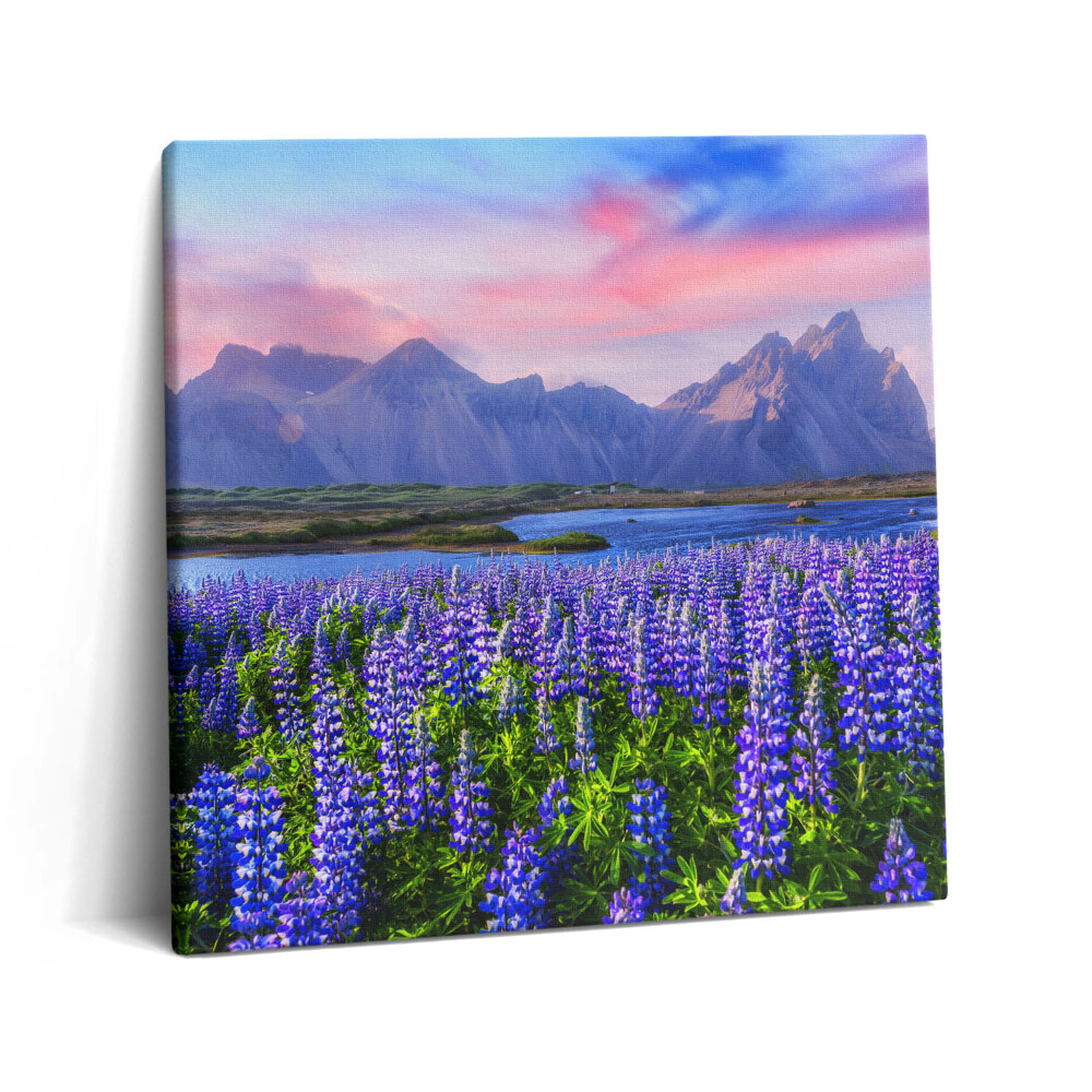Vászonkép 60x60 Levendulamezők - Izland