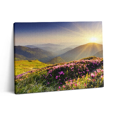 Vászonkép falra 80x60 Hegyek és egy virágos rét