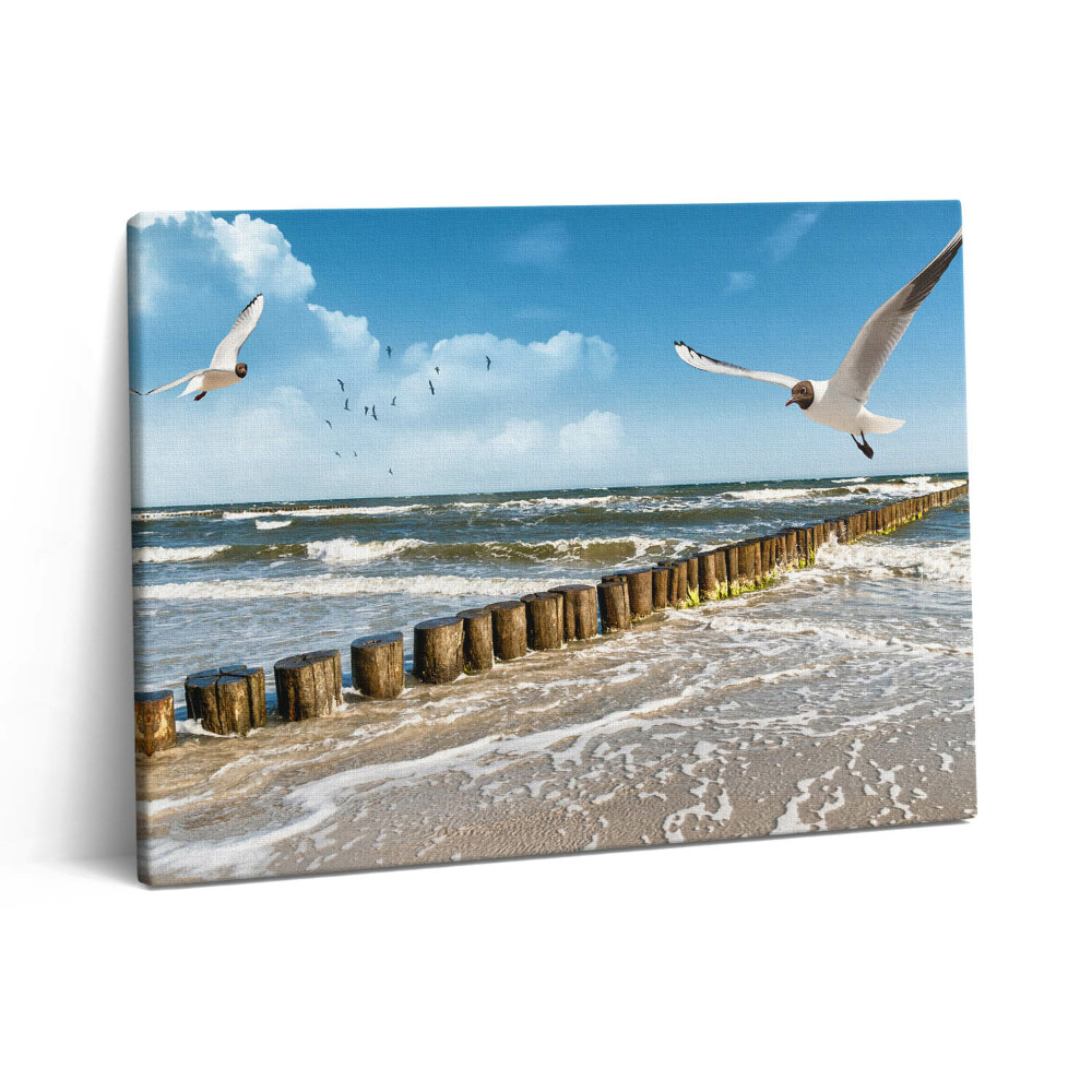 Vászonkép falra 80x60 Madár a tengerparton