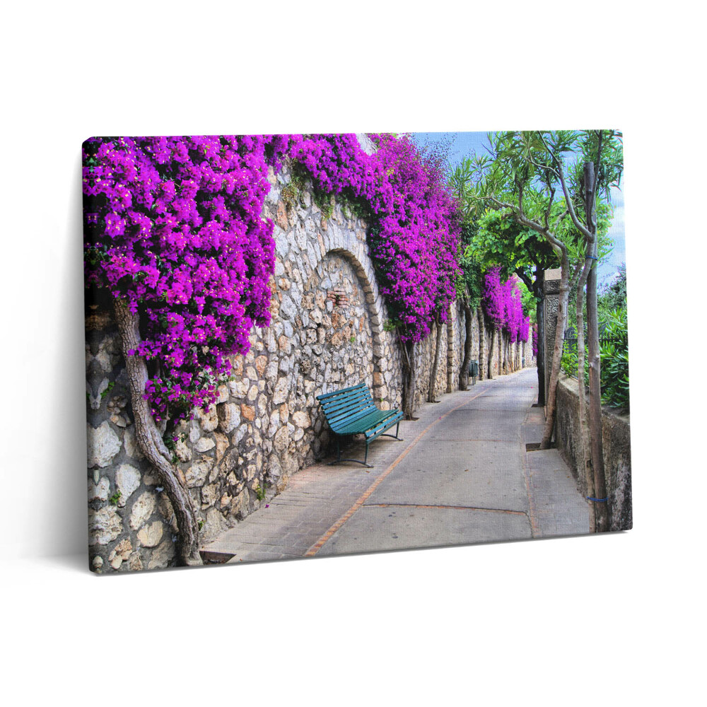 Vászonkép falra 80x60 Virágos út Capriból Olaszországból