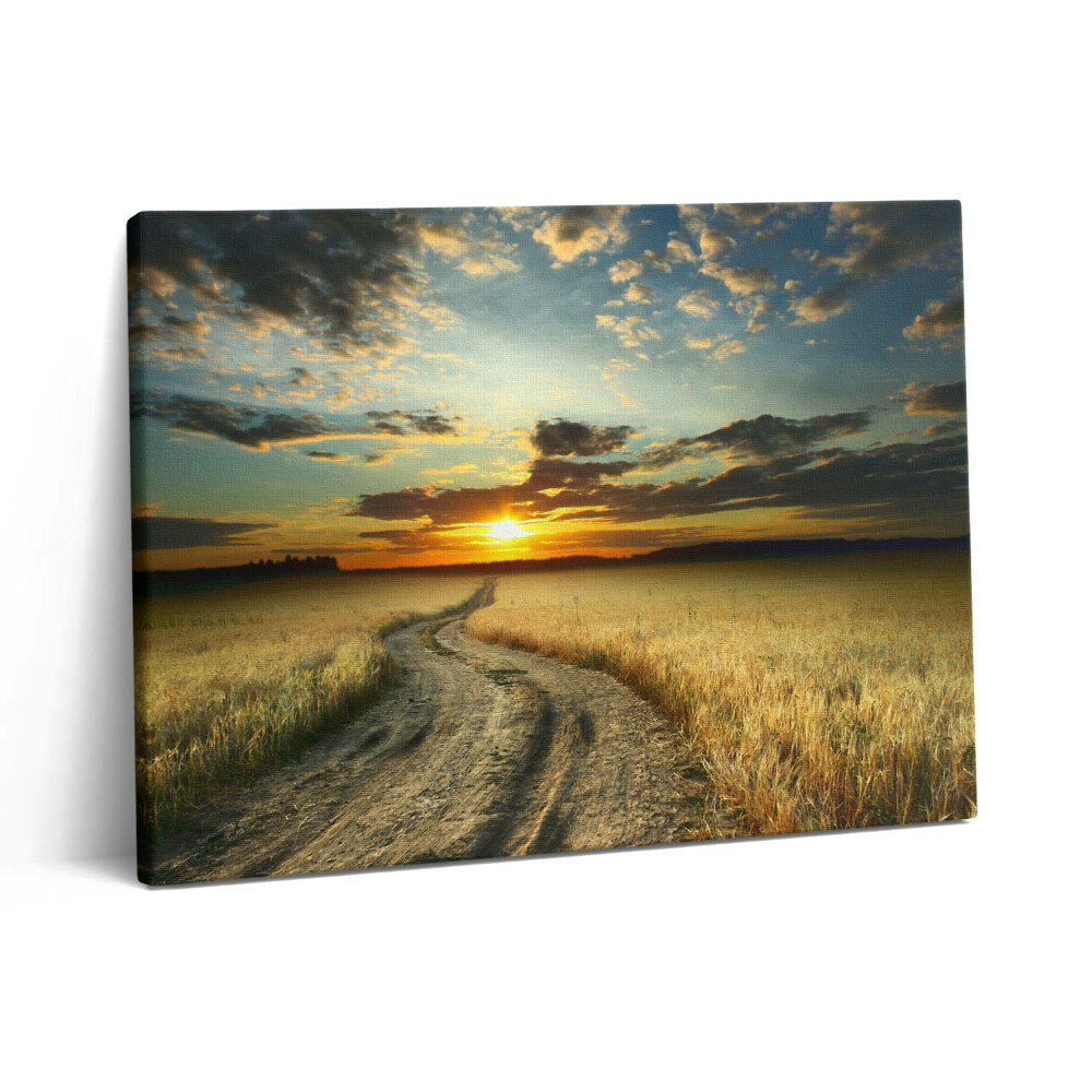 Vászonkép falra 80x60 Földút és naplemente