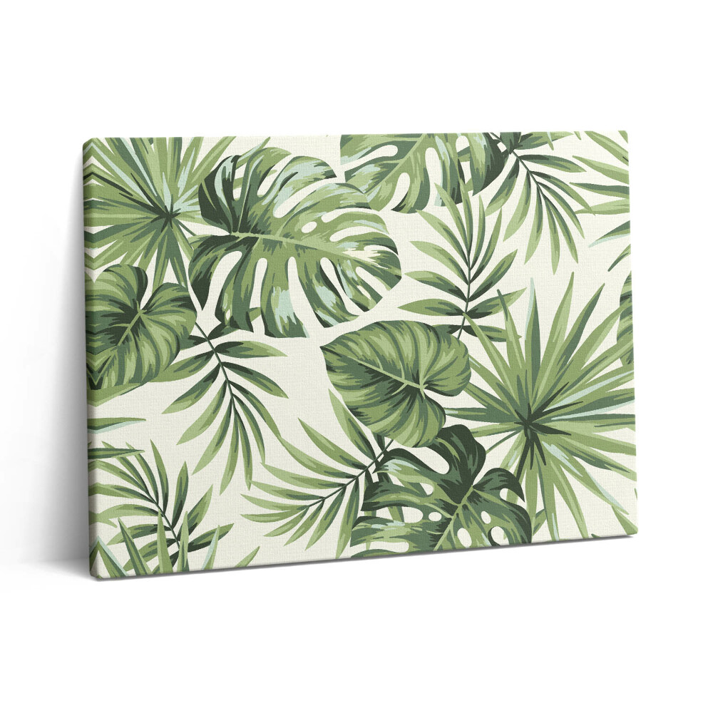 Vászonkép falra 80x60 Monstera levél illusztráció