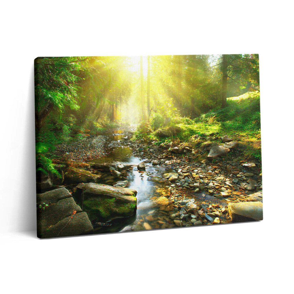 Vászonkép falra 80x60 Erdei patak a napfényben