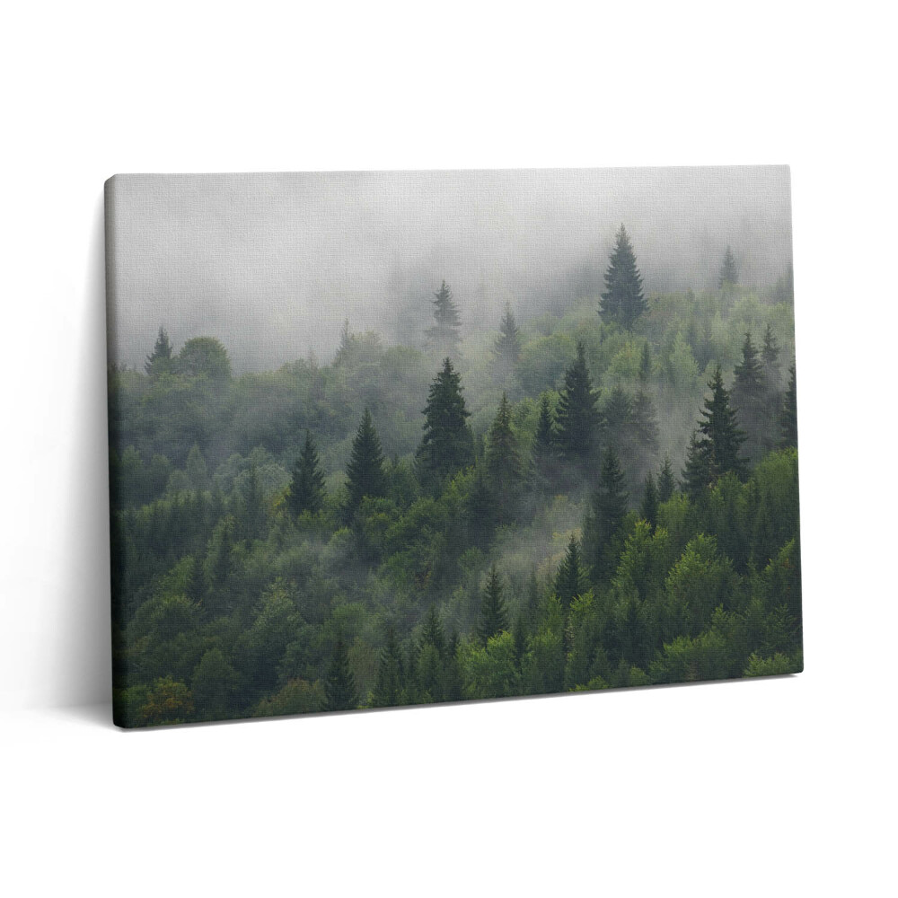 Vászonkép falra 80x60 Erdei táj ködben