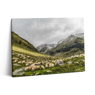 Vászonkép falra 80x60 Birkák a hegyi réten