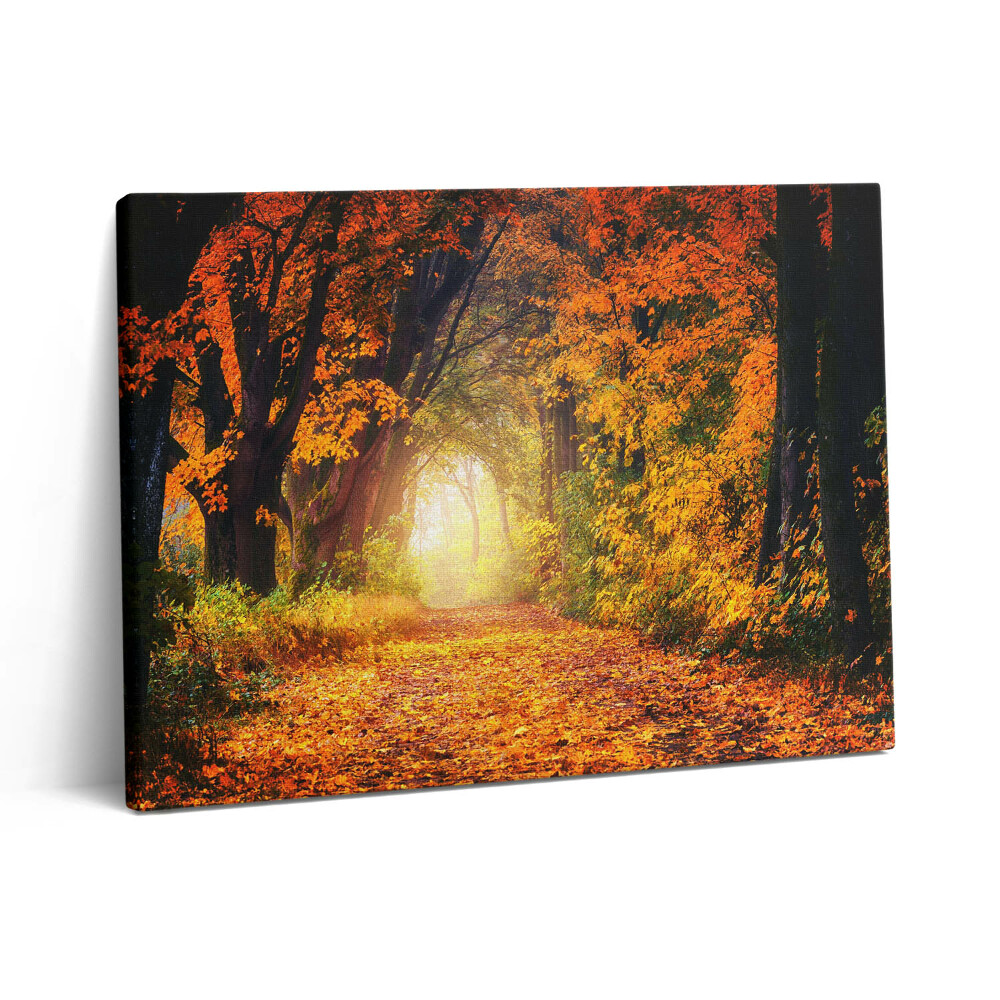 Vászonkép falra 80x60 Őszi levelekből álló erdei alagút