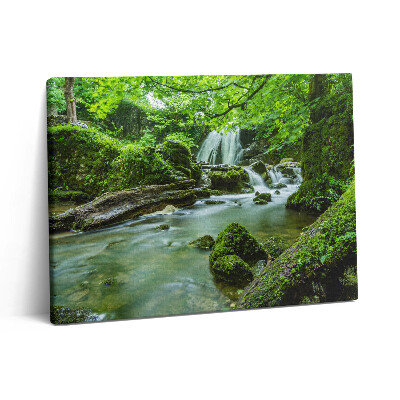 Vászonkép falra 80x60 Vízesés a vad dzsungelben