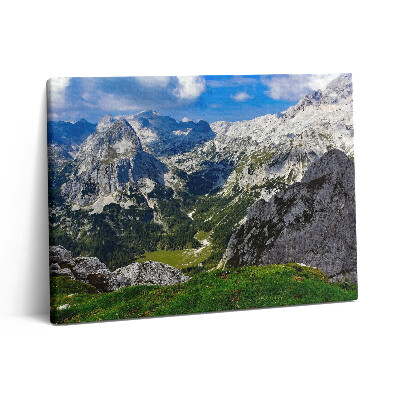 Vászonkép falra 80x60 Sziklás hegyvidéki táj