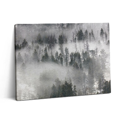 Vászonkép falra 80x60 Ködös erdei táj