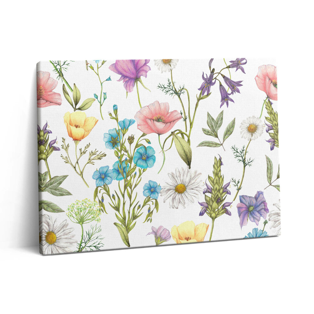 Vászonkép falra 80x60 Virágillusztráció - virágos rét