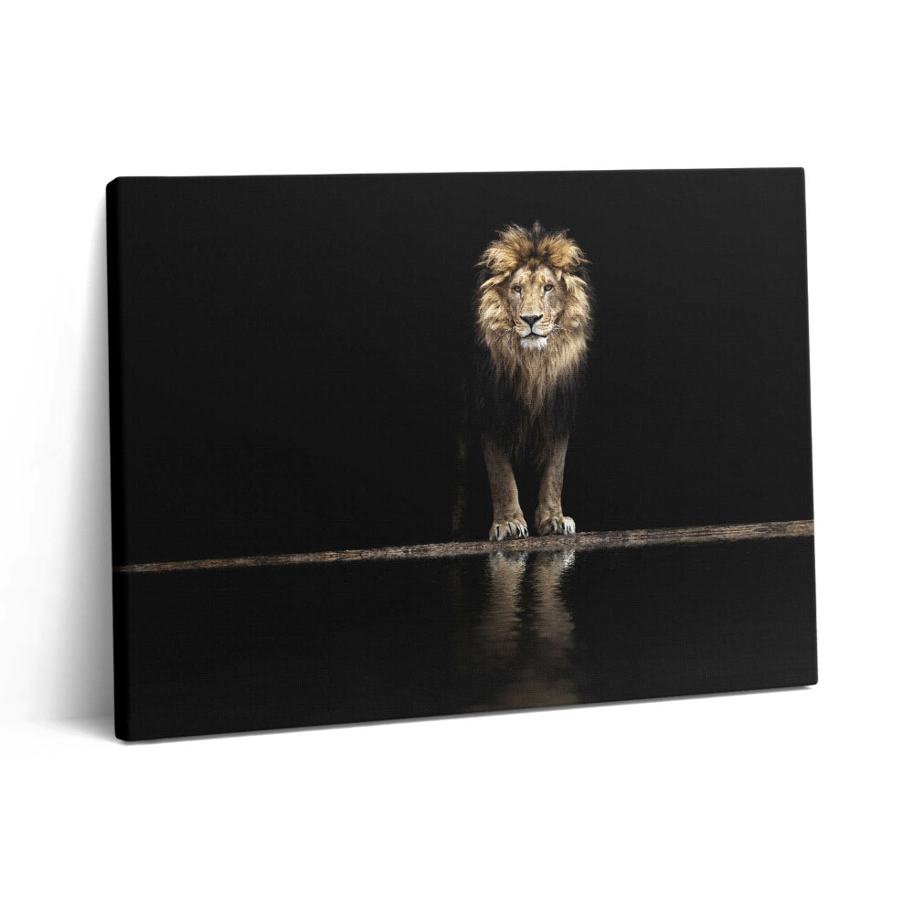 Vászonkép falra 80x60 Magányos vadállat oroszlán