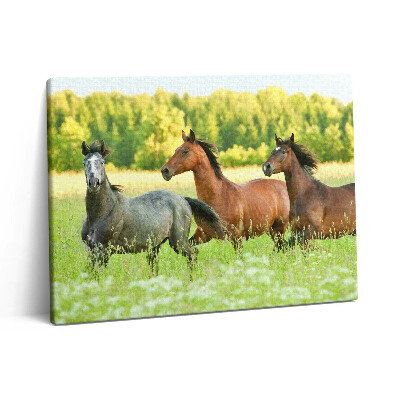 Vászonkép falra 80x60 Ménesek a réten