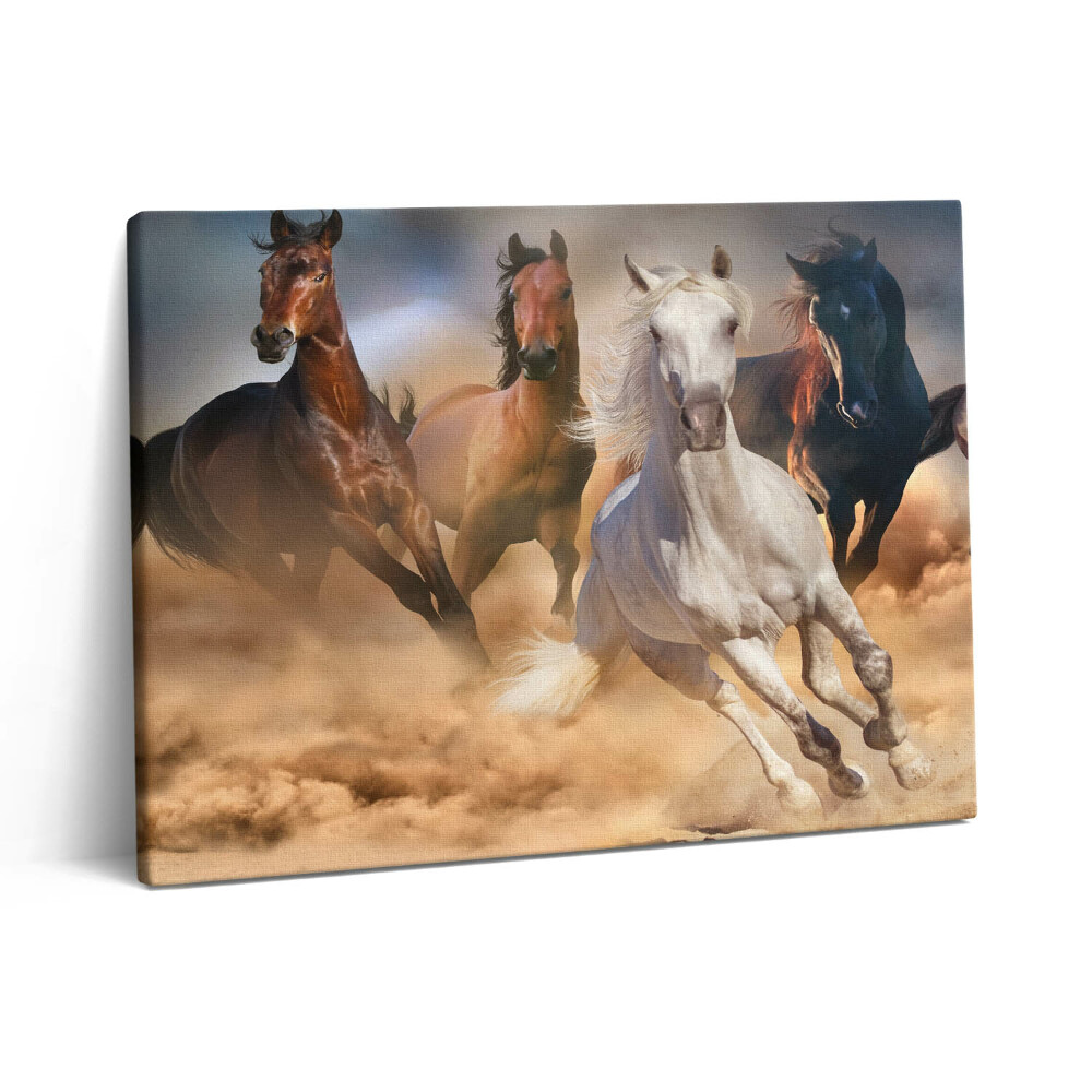 Vászonkép falra 80x60 Galoppban rohanó lovak