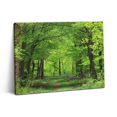 Vászonkép falra 80x60 Erdei út a fák alatt