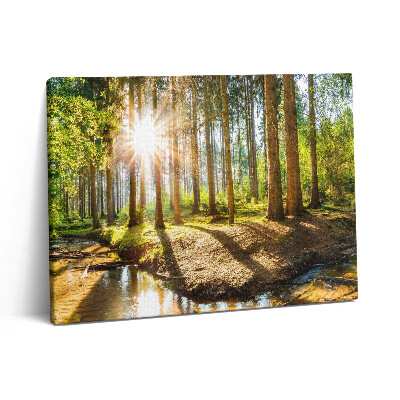 Vászonkép falra 80x60 Nap a fák mögött az erdőben