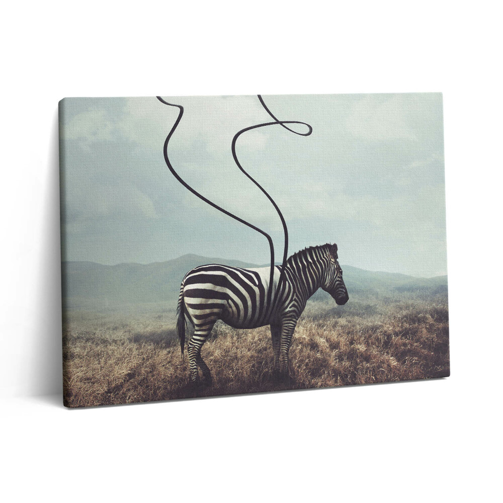 Vászonkép falra 80x60 Illusztráció zebracsíkokkal