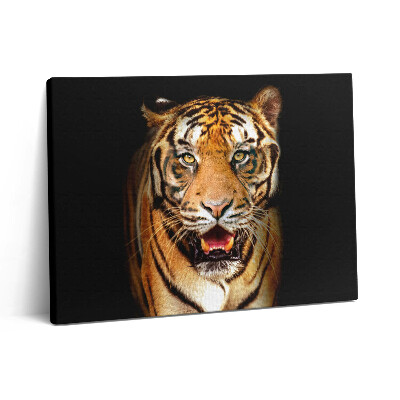 Vászonkép falra 80x60 Kifejező vad tigris macska