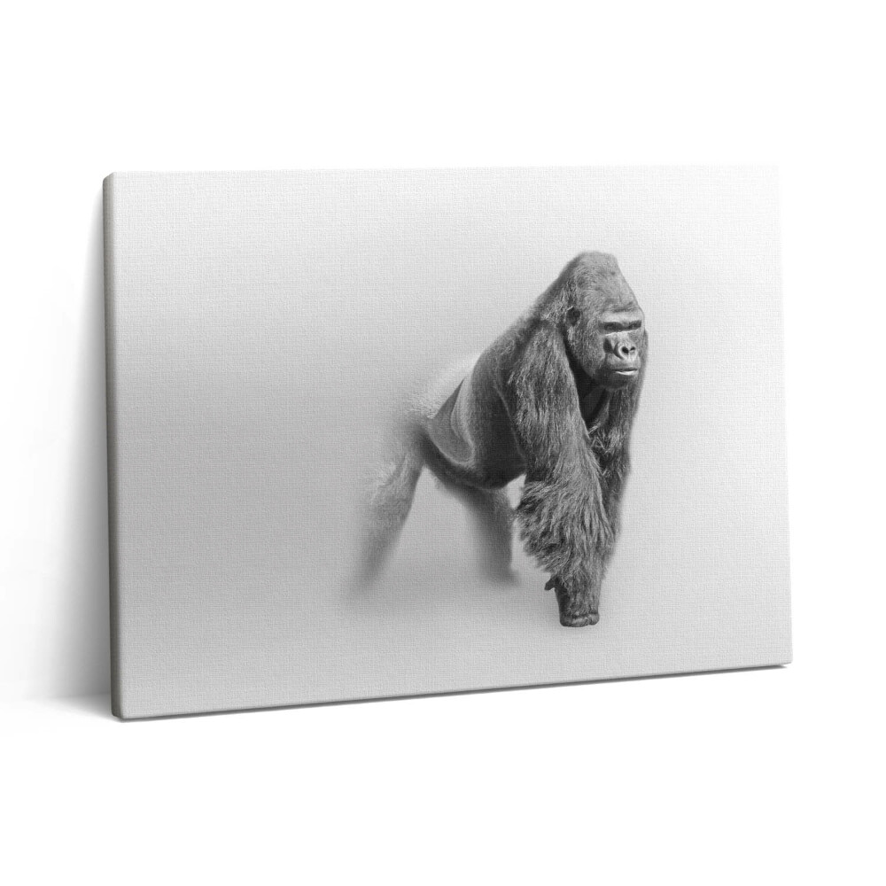 Vászonkép falra 80x60 Vadon élő állatok gyűjteménye