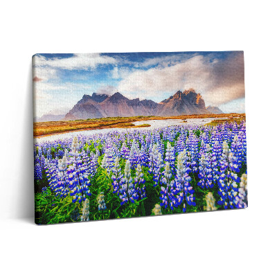 Vászonkép falra 80x60 Varázslatos csillagfürt virágok