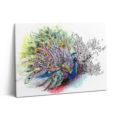 Vászonkép falra 80x60 Színes páva