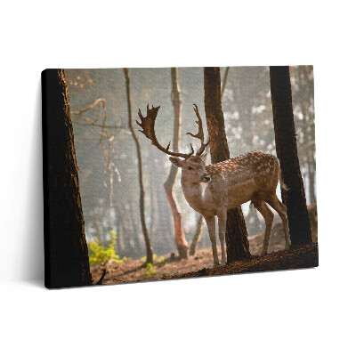 Vászonkép falra 80x60 Szarvas a felkelő nap fényében