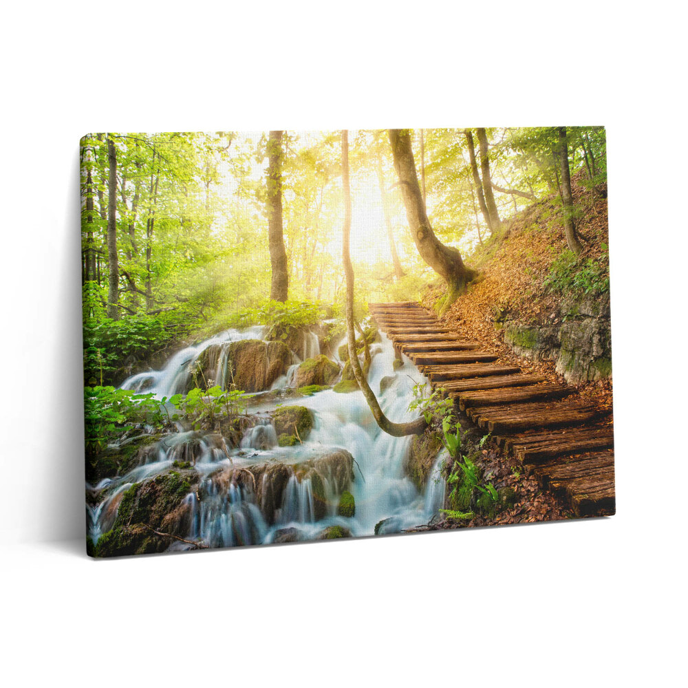 Vászonkép falra 80x60 Patak és lépcső az erdőben