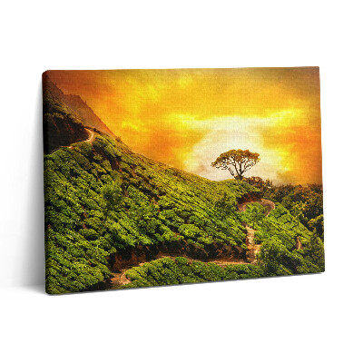 Vászonkép falra 80x60 Tea domb