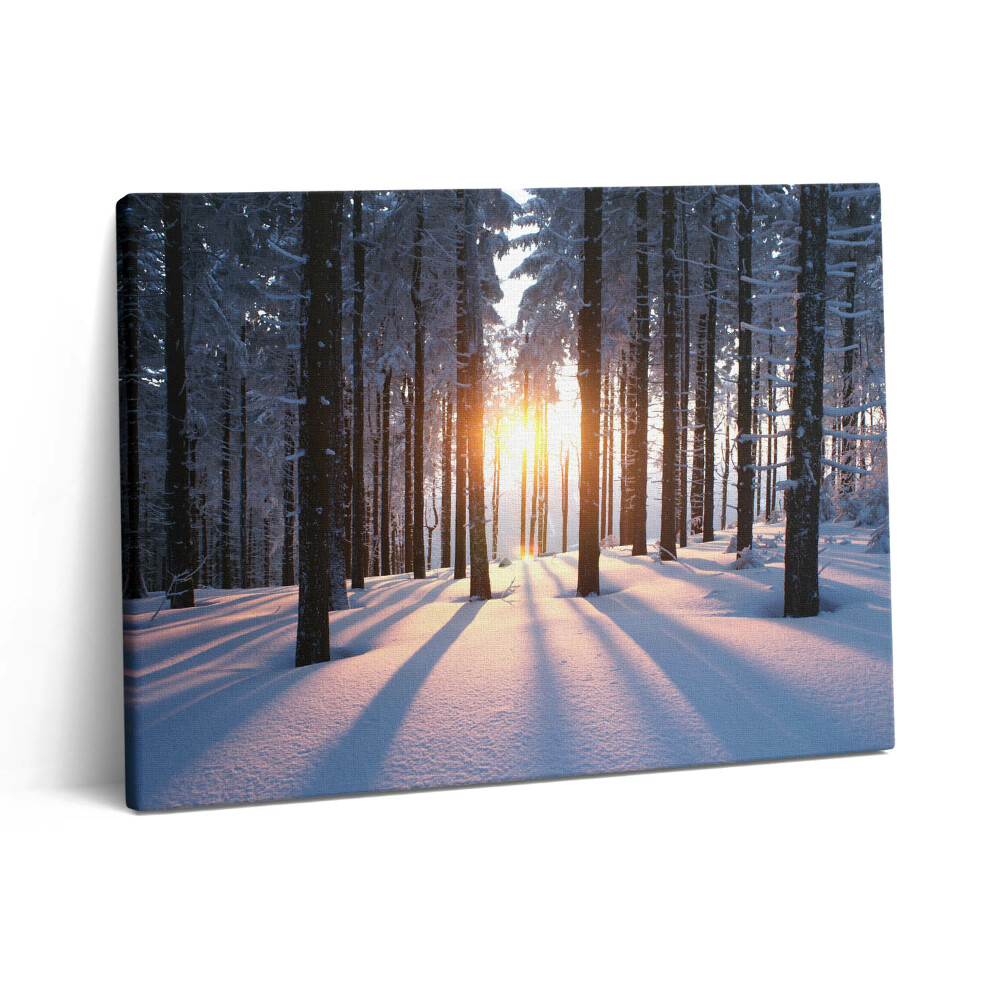 Vászonkép falra 80x60 Naplemente és erdő télen