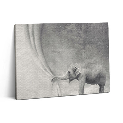 Vászonkép falra 80x60 Elefánt a függöny mögött