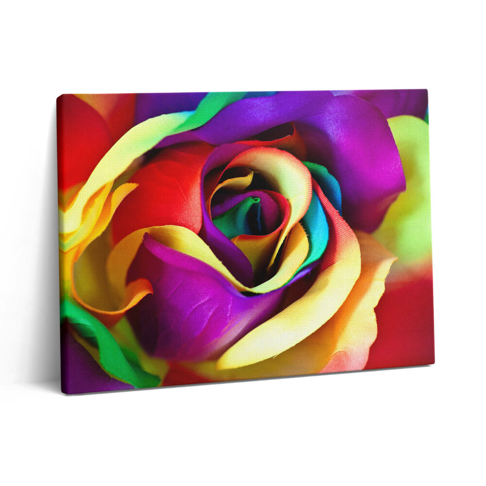 Vászonkép falra 80x60 Szivárványos rózsa