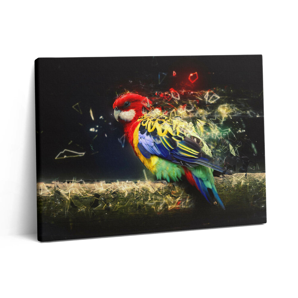 Vászonkép falra 80x60 Papagáj absztrakció
