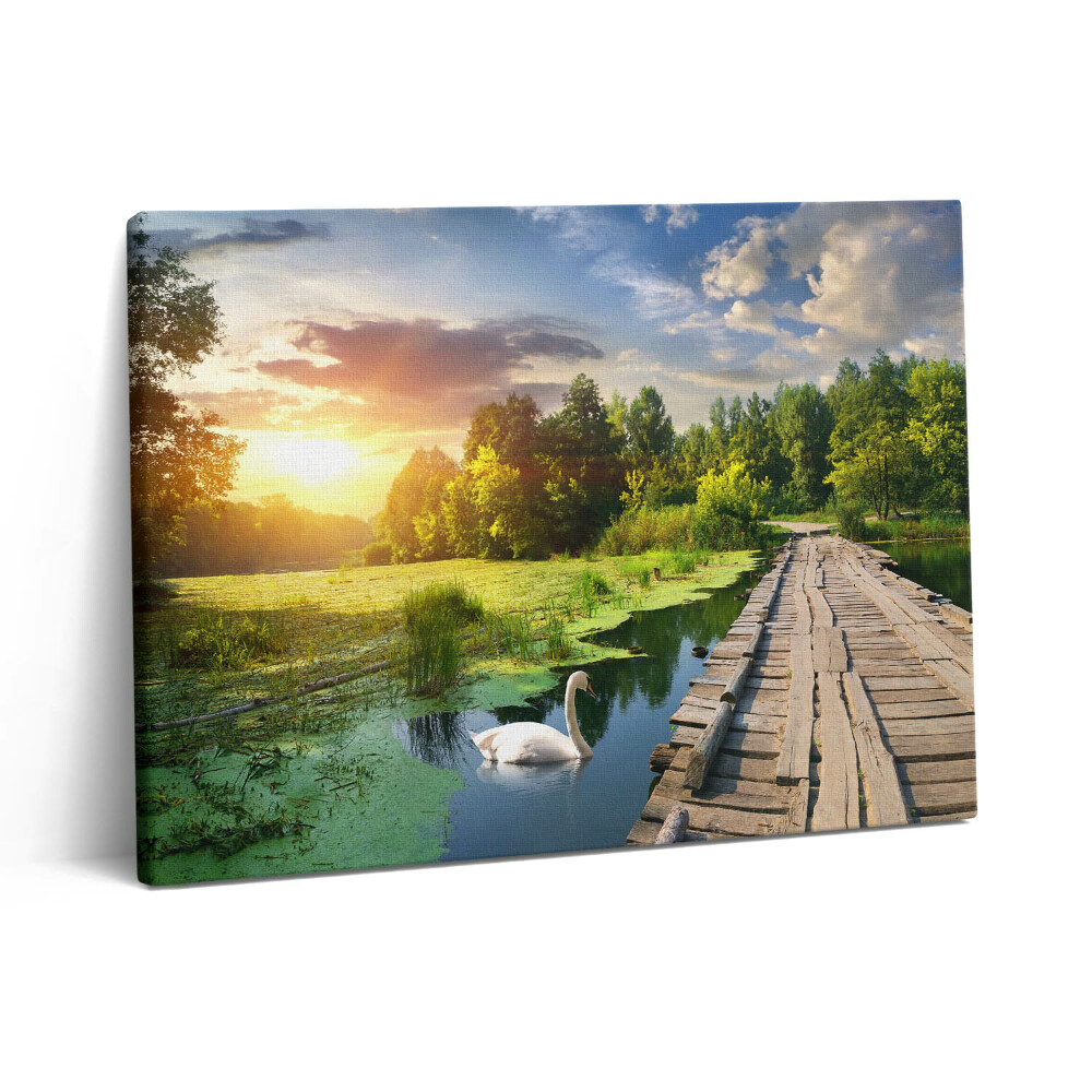 Vászonkép falra 80x60 Hattyú naplementében
