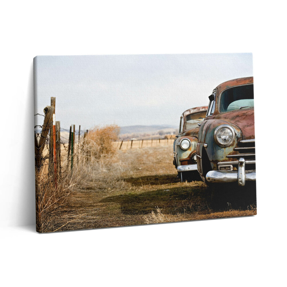 Vászonkép falra 80x60 Régi elhagyott autók