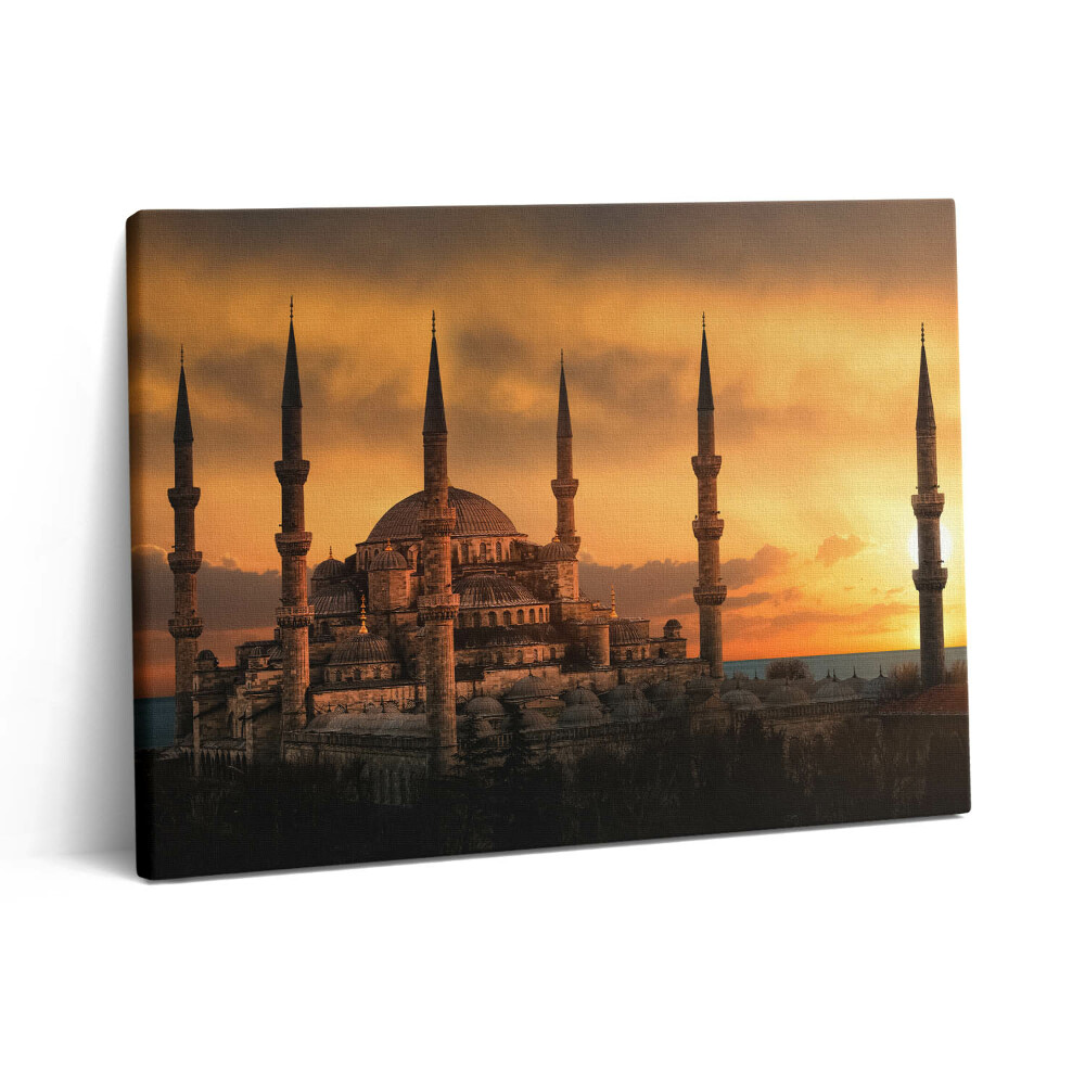Vászonkép falra 80x60 Mecset Isztambulban