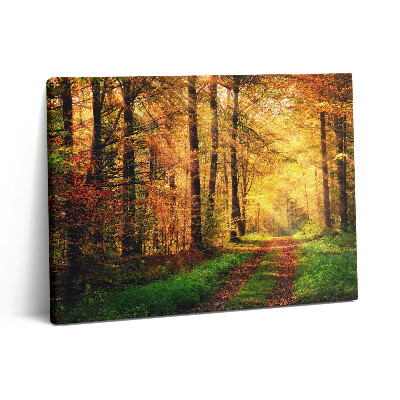 Vászonkép falra 80x60 Őszi erdei tájkép