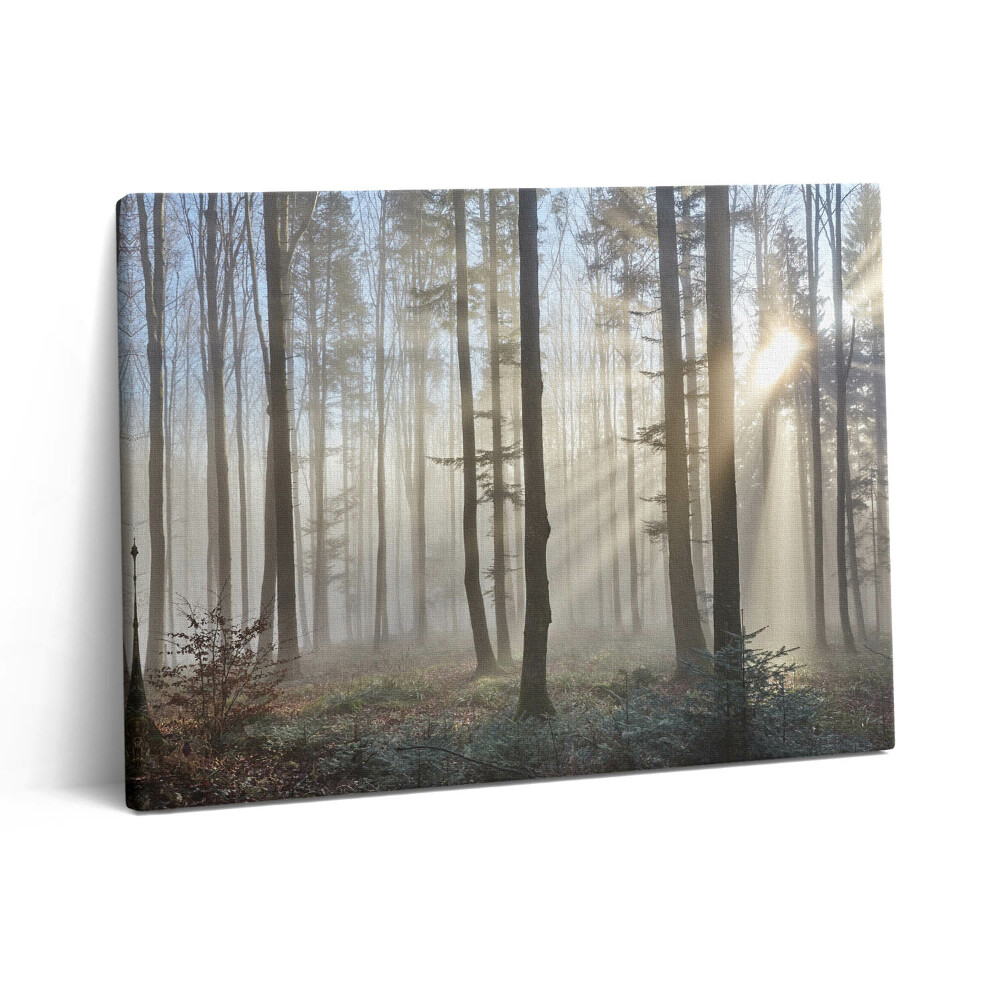 Vászonkép falra 80x60 Erdő a ködben